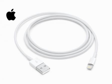 Apple Lightning to USB Cable | Apple Lightning Cable USB 2.0 Charging Cable for iPhone 5/5s/6/6s Plus/SE/iPad (Simple Package)