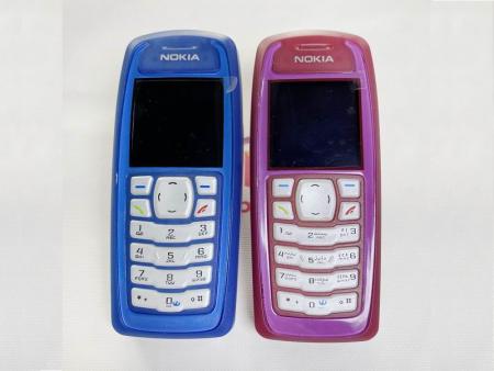 nokia 3100