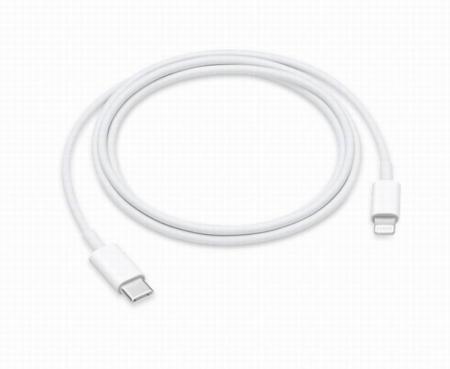 20W USB-C Fast PD Charger Cable Lead